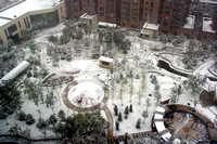 Snowing photos in Beijing on Nov 1 2009