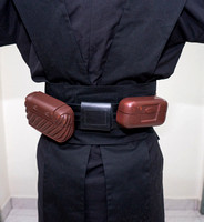 backbelt